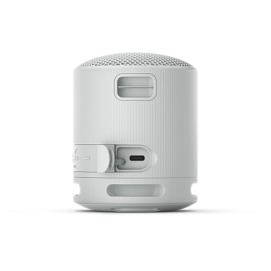 Sony SRS-XB100, šedá