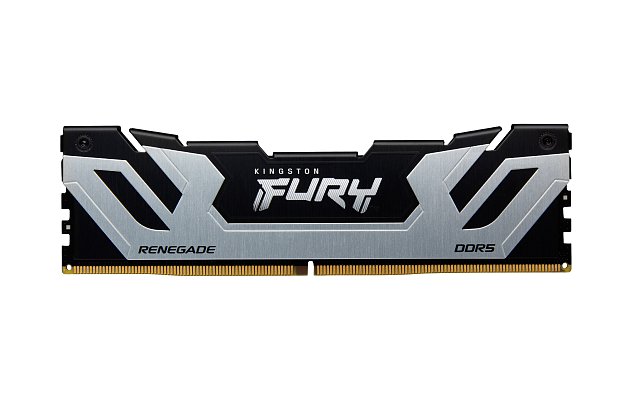 Kingston FURY Renegade/DDR5/24/8000MHz/CL38/1x24GB/Black/Silv