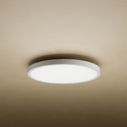 Xiaomi Mi Smart LED Ceiling Light D20