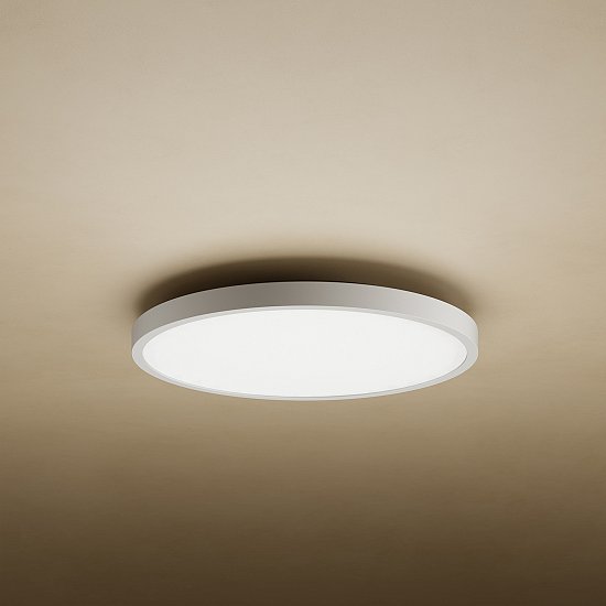 Xiaomi Mi Smart LED Ceiling Light D20