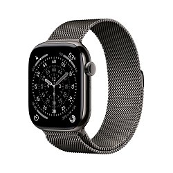 Apple Watch S11 Cell/46/Elegant Band/Slate Apple Watch S11 Cell/46/Elegant Band/Slate