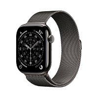 Apple Watch S11 Cell/46/Elegant Band/Slate