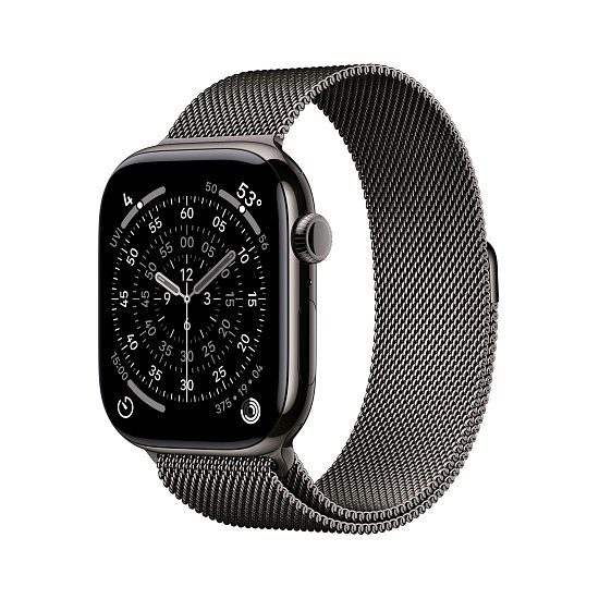 Apple Watch S11 Cell/46/Elegant Band/Slate
