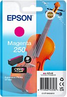Epson Singlepack Magenta 250 ink