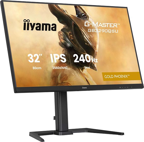 iiyama G-Master/GB3290QSU-B1/31,5