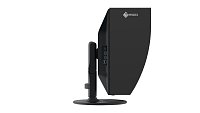 EIZO ColorEdge/CG3100X/30,5