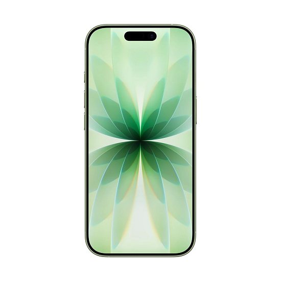 Apple iPhone 17/256GB/Sage