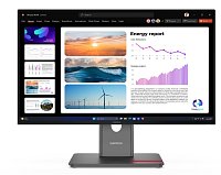 Lenovo ThinkVision/P24Q-40/23,8