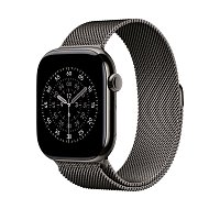 Watch Acc/46/Slate Milanese Loop - S/M