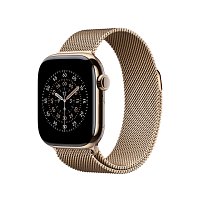 Watch Acc/42/Gold Milanese Loop