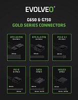 EVOLVEO G750,750W,ATX3.1,14cm,aPFC,80+GOLD,3YRW