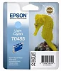 EPSON Ink ctrg Light Cyan RX500/RX600/R300/R200 T0485