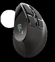 TRUST VOXX ERGONOMIC RECHARGEABLE MOUSE