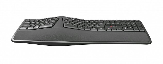 Klávesnice C-TECH KB-113E USB, ERGO,  černá, CZ/SK