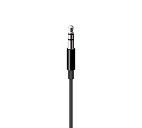 Lightning to 3.5mm Audio Cable