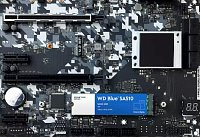 WD Blue SA510/500GB/SSD/M.2 SATA/5R