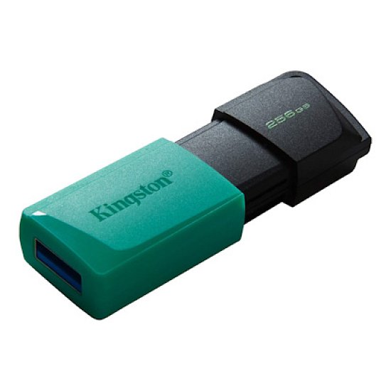 256GB Kingston USB 3.2 (gen 1) DT Exodia M