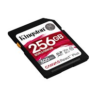 256GB SDHC UHS-II Kingston U3 V90 300R/260W