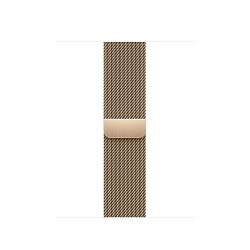Watch Acc/41/Gold Milanese Loop