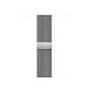 Watch Acc/41/Silver Milanese Loop