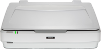 Epson Expression 13000XL