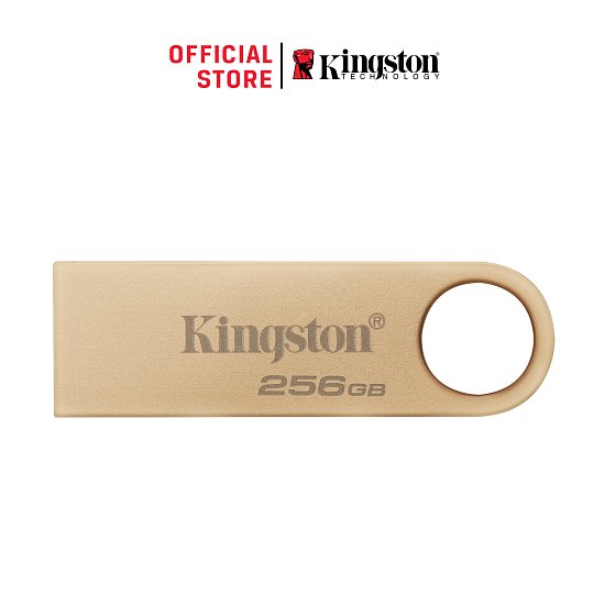 256GB Kingston USB 3.2 DTSE9 220/100MB/s