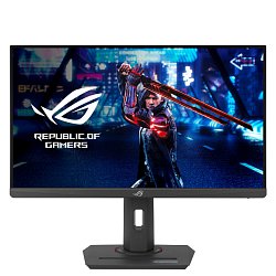 ASUS ROG/Strix XG259QNS/24,5