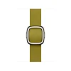 Watch Acc/42/Chartreuse Modern Buckle - Medium