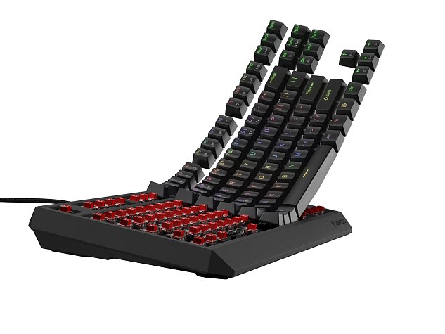 Genesis herní klávesnice THOR 230/TKL/RGB/Outemu Red/Drátová USB/US layout/Černá