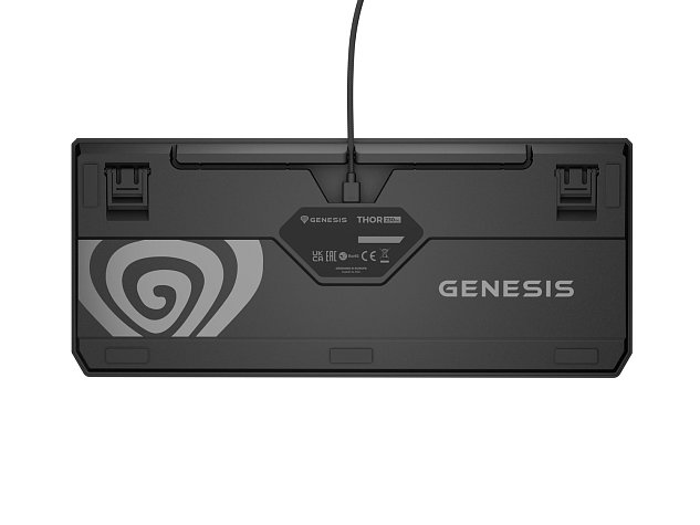 Genesis herní klávesnice THOR 230/TKL/RGB/Outemu Red/Drátová USB/US layout/Černá