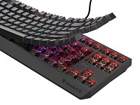 Genesis herní klávesnice THOR 230/TKL/RGB/Outemu Brown/Drátová USB/US layout/Černá