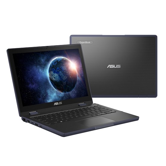 ASUS ExpertBook BR/BR1204FGA/N100/12,2