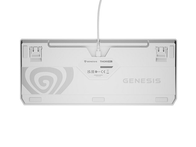 Genesis herní klávesnice THOR 230/TKL/RGB/Outemu Brown/Drátová USB/US layout/Bílá