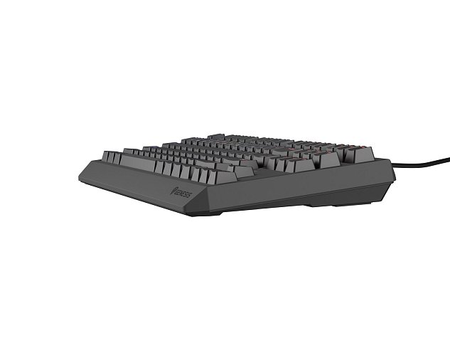 Genesis herní klávesnice THOR 230/TKL/RGB/Outemu