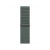 Watch Acc/46/Sage Sport Loop
