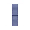 Watch Acc/42/Periwinkle Sport Loop