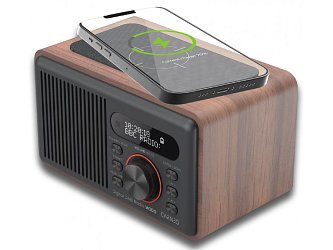 CARNEO W100 Rádio DAB+,FM,BT,Wireless charge WOOD CARNEO W100 Rádio DAB+,FM,BT,Wireless charge WOOD