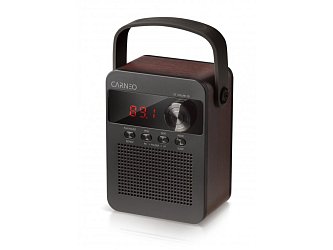 CARNEO F90 FM rádio, BT reproduktor, black/wood CARNEO F90 FM rádio, BT reproduktor, black/wood