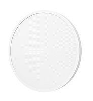 Xiaomi Mi Smart LED Ceiling Light D30