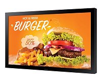 24 24