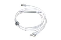 ER Intelligent Cable Extender USB-C to Dual USB-C ER Intelligent Cable Extender USB-C to Dual USB-C