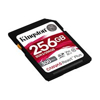 256GB SDHC UHS-II Kingston U3 V90 300R/260W 256GB SDHC UHS-II Kingston U3 V90 300R/260W